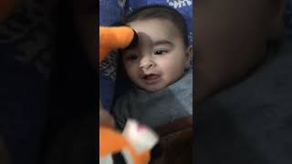 Trying to Eat Dear Toy #youtubeshorts #cutebaby #goneviral