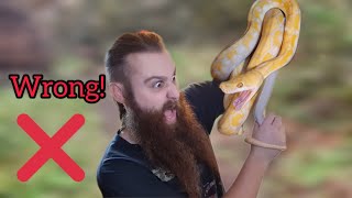 How to handle your snake tips and tricks!