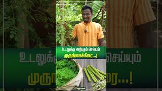 உடலுக்கு அற்புதம் செய்யும் முருங்கைக்கீரை...! | #Puthuyugamdigital #Shorts