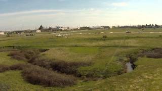 More fun FPV'ing checking out the herd!