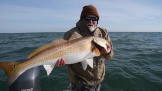 Big Red Drum 16