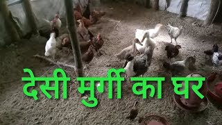 Murgi ka ghar keisa hona chahiye