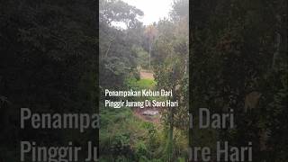 Penampakan kebun dari pinggir Jurang#shots#vlog