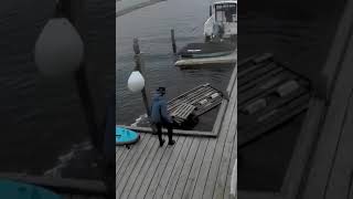 Man Takes Dive Off Wobbly Dock - 1534086