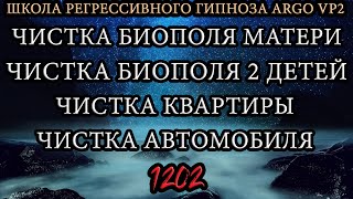 Чистка биополя матери и двоих детей | Чистка квартиры и автомобиля | Отрывки из сеанса