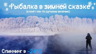 Зимний спиннинг! Не ожидали такого клёва щуки зимой😮 Очень красивые кадры😍 (первая часть)