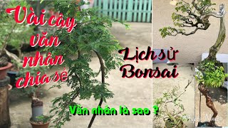 Bonsai VĂN NHÂN là gì ? Nguồn gốc BONSAI | 1 chút thông tin mà mọi người cần Biết | Ba Ford