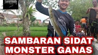 Perjuangan team menaklukan sidat monster sampai emosi...