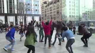 Jeff and Marissa's Proposal Flash Mob in NYC