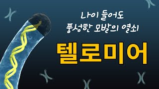 텔로미어는 나이 들어도 풍성한 모발의 열쇠~