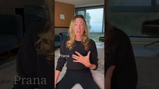 Prana: Life force