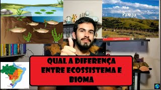 Diferença entre Bioma e Ecossistema