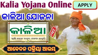 କାଳିଆ ଯୋଜନା ରେ କେମିତି କରିବେ ଅବେଦନ | Kalia yojana online Apply