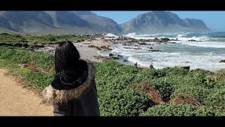 We visit the African Penguins at Betty's Bay, Western Cape| South Africa 🇿🇦.