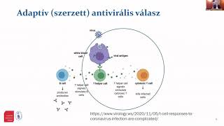 Buzás Krisztina: Vírusellenes válaszok, válaszellenes vírusok