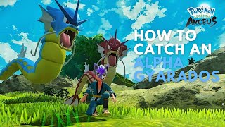 How to Catch an Alpha Gyarados in Pokemon Legends Arceus