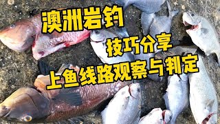 【悉尼钓鱼】中大鱼前 线路的判定与选择【钓鱼技巧分享】