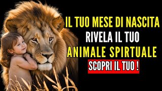 Quale è il tuo animale spirituale? Dipende dal tuo mese di nascita  ✨