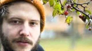 Bon iver - I Can't Make You Love Me (Official)