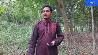 একদিন পরপারে ভাসাবিরে নাও। Ejdin Poropare Vasabere Now ।Hafizur Rahman। Chand Multimedia bd