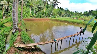 Suasana Pedesaan Terpencil di Pelosok Kampung Tasikmalaya Dengan Keindahan Alam Yang Masih Asri