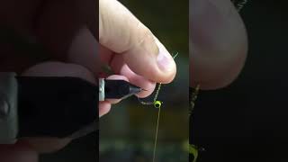 The Golden Brown Gotcha #flytying #fishing #flyfishing #bonefishgotcha #tutorial #shorts