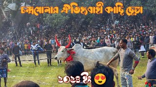 চন্দ্রখোলা ঐতিহ্যবাহী গরু দৌড় (কাছি ছেড়া) ২০২৪ ইং।   শোল্লা, নবাবগঞ্জ, ঢাকা।