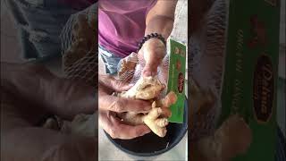 Can You Grow Store Bought Ginger | Yes You Can |