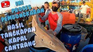 Proses pembongkaran hasil tangkapan kapal cantrang di rembang