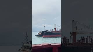 Watch this massive bulk carrier being guided into port by two tugboats - what a sight!🚢🌊