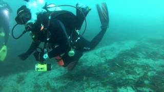 Clint Walker Deep Water Specialty Dives 11 17  2012