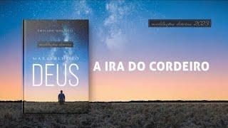 Meditações Diárias: 17 Agosto - A IRA DO CORDEIRO l Maravilhoso Deus