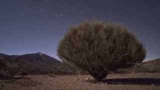 Canary Sky (Tenerife) - El Cielo de Canarias