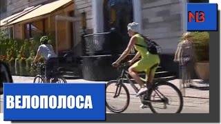 Выделенная велодорожка появилась в Москве