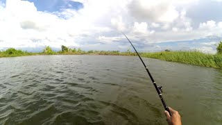 Mancing ikan nila di jepara