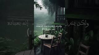 ولو بسط الله الرزق لعباده لبغوا في الارض 😢😢😥🥰🥰 تلاوة خاشعة وهادئة للقارئ اسلام صبحي اسمع ولك الأجر