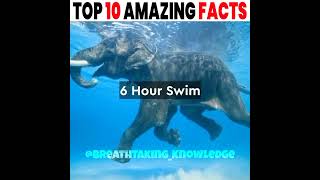 Top 10 Amazing Facts In Hindi