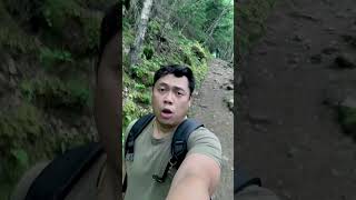 Sometimes what we need is quite forest. Exploring Skagway -Dewey Upper lake Trail