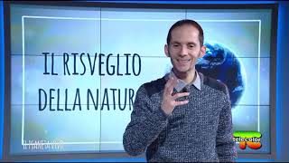 Il Pianeta Vivo - puntata 4 - Il risveglio della natura (conduce Samuele Venturini)