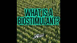 What Is A Plant Biostimulant?