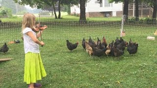 Playing for Chickens? Or for Nashville?