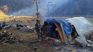 Nepali Sheep Shepherd Life | Shepherd family Cooking & Eating | Natural Sheep Shepherd Life |