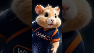 Что такое Hamster Kombat🐹