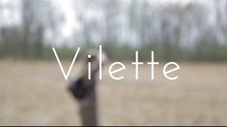 Vilette