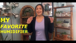 My Favorite Humidifier | Plant Humidifier | Best Humidifier | Ep7