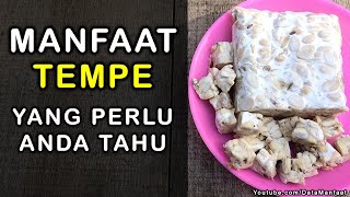 Manfaat Tempe | Khasiat Tempe Untuk Kesehatan Yang Perlu Anda Tahu