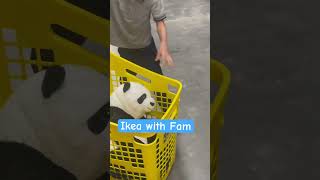 Ikea Manila #ytshorts