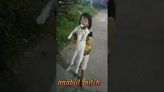 Anabul putih dan kocheng oyen #shorts