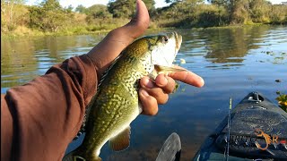 NESSA PESCARIA OS PEIXES ESTAVAM DE QUARENTENA | PESCARIA.