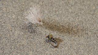 Learn How To Tie the Dandelion Emerger